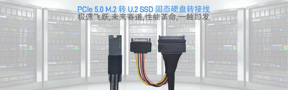 数联空间 Gen5 PCIe 5.0 M.2 转 U.2 SFF-8639 NVMe 协议固态硬盘SSD转接线转接卡服务器数据中心台式机电脑传输线_Banner.jpg